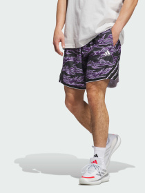 Шорты спортивные Adidas модель JV6911 Фото