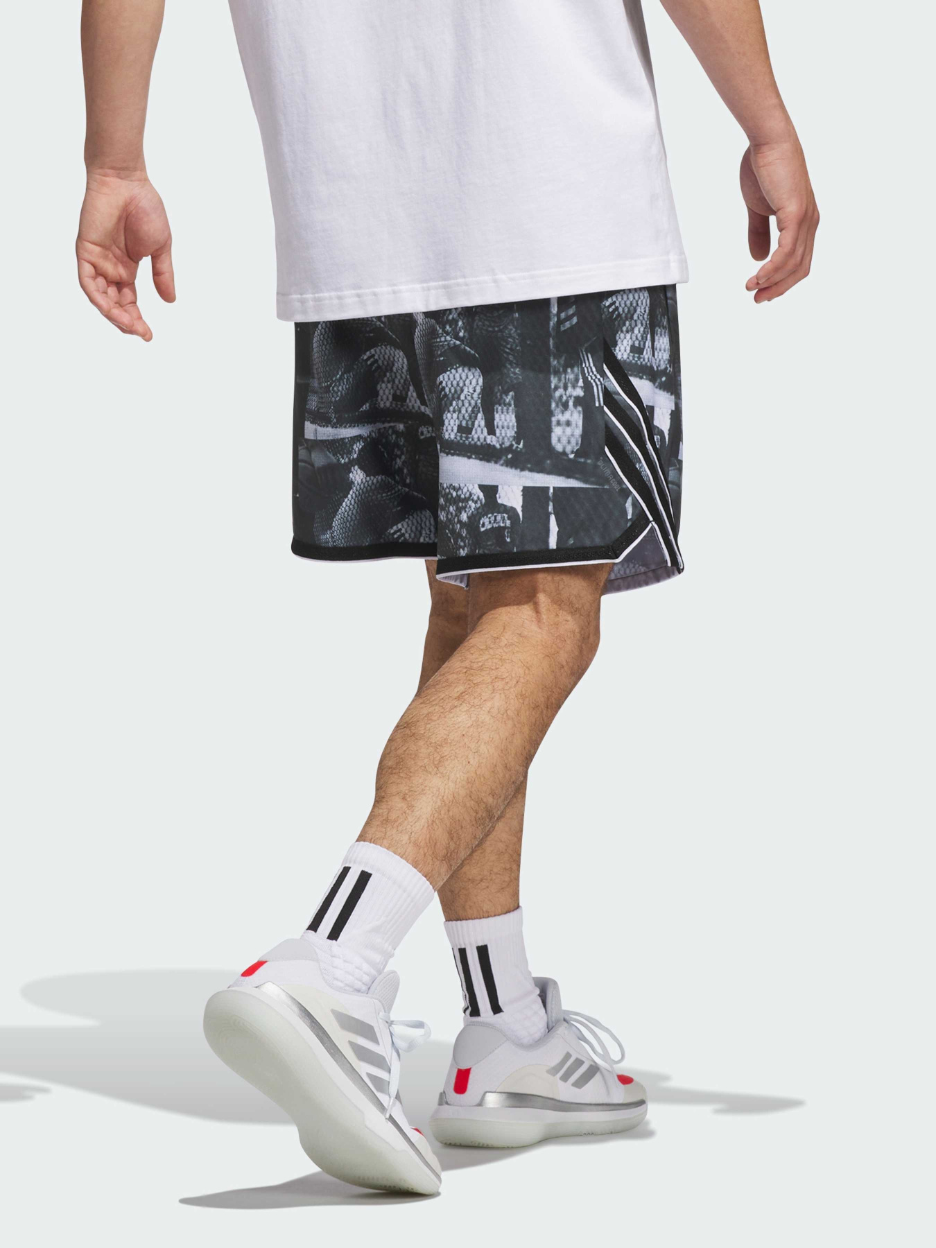 Шорты спортивные Adidas модель JN2460 Фото