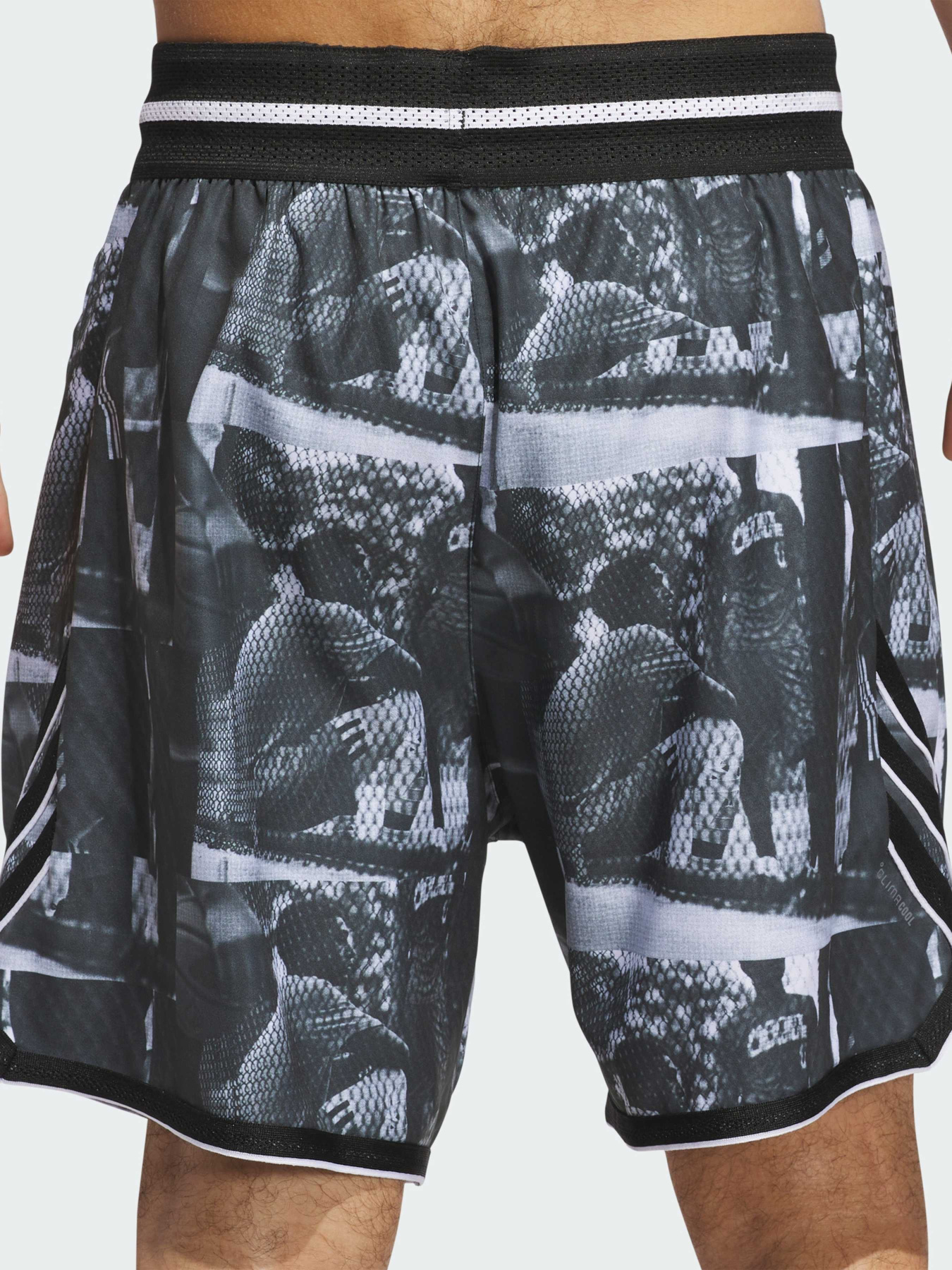 Шорты спортивные Adidas модель JN2460 Фото