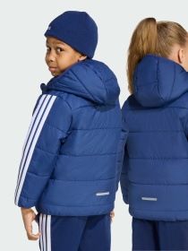 Демисезонная куртка Adidas модель JL9048 Фото