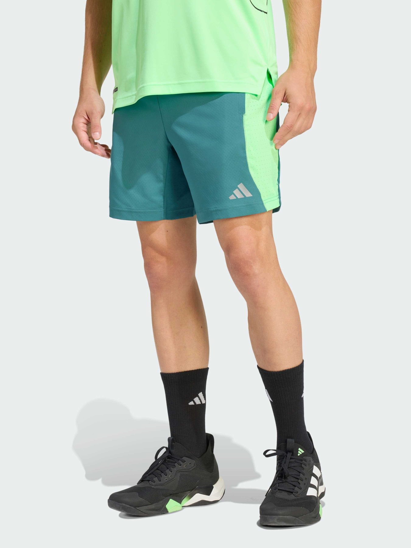 Шорты спортивные Adidas модель JX0027 Фото