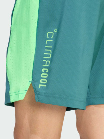 Шорты спортивные Adidas модель JX0027 Фото