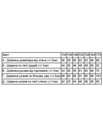 Спортивний костюм Носи своє модель 6396-025-33-nzhir-stay Фото