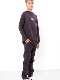 Спортивний костюм Носи своє модель 6396-025-33-nzhir-stay Фото