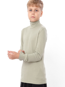 Водолазка Носи своє модель 6068-040-olivkovo-srij Водолазка Носи своє модель 6068-040-olivkovo-srij Фото