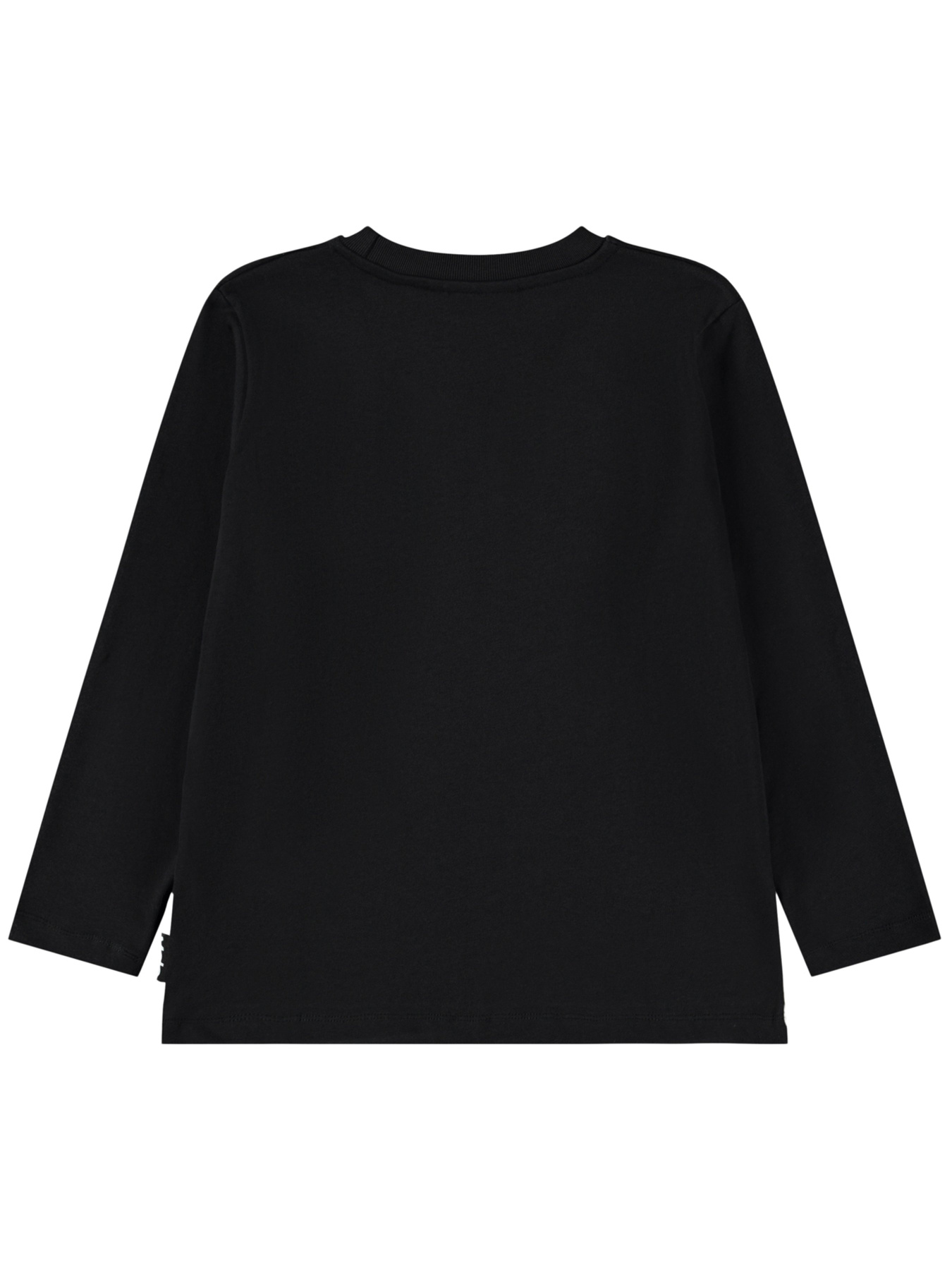 Лонгслів Molo модель 1W25A403.9614 Фото