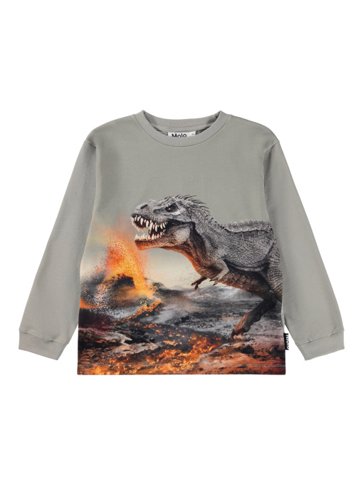 Лонгслив Molo модель 1W25A404.9721 Фото