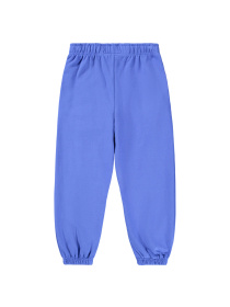 Штани спортивні Molo модель 1W25I202.5526 Фото