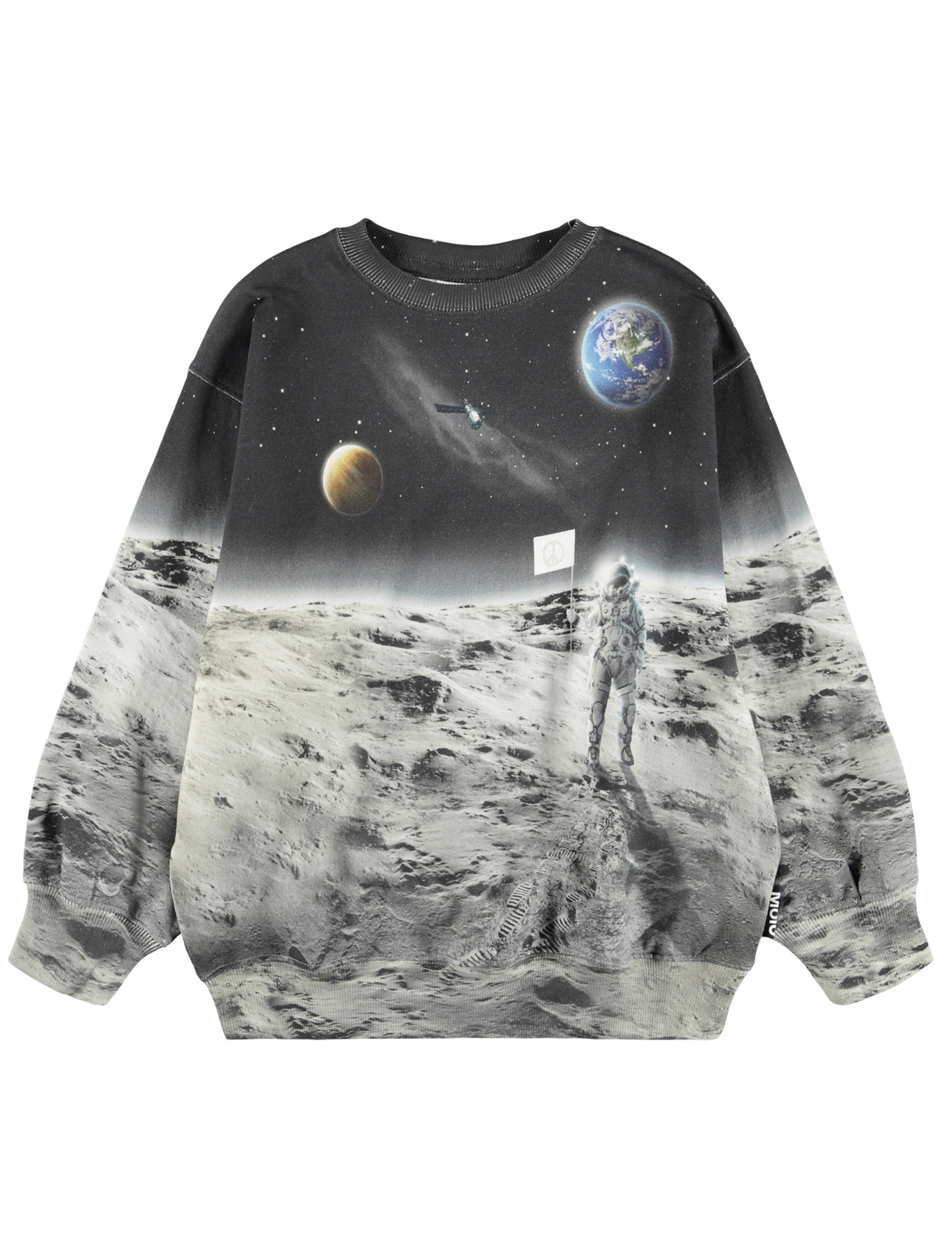 Світшот Molo модель 1W25J201.9681 Фото