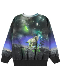 Свитшот Molo модель 1W25J203.4968 Фото