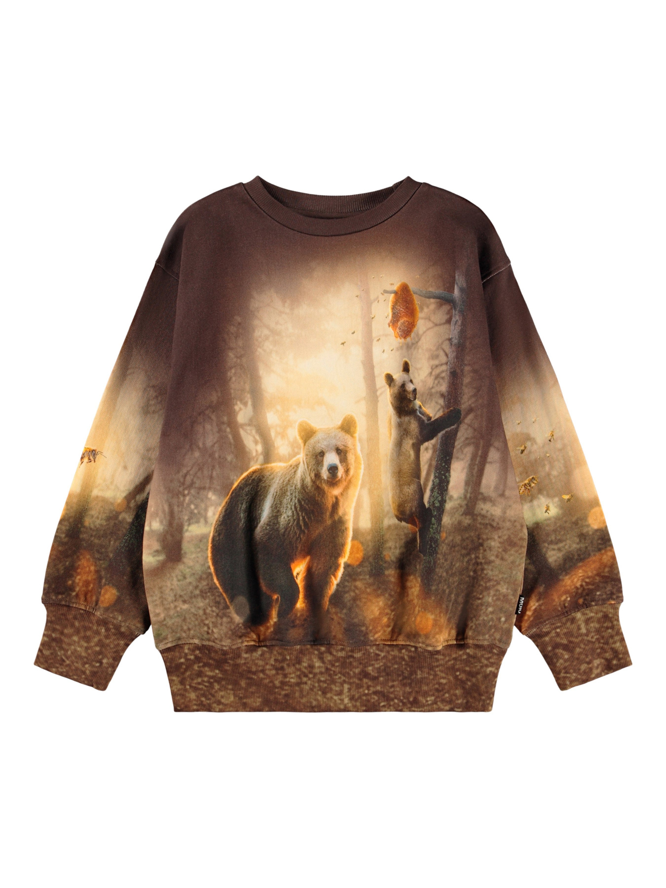 Свитшот Molo модель 1W25J203.9657 Фото