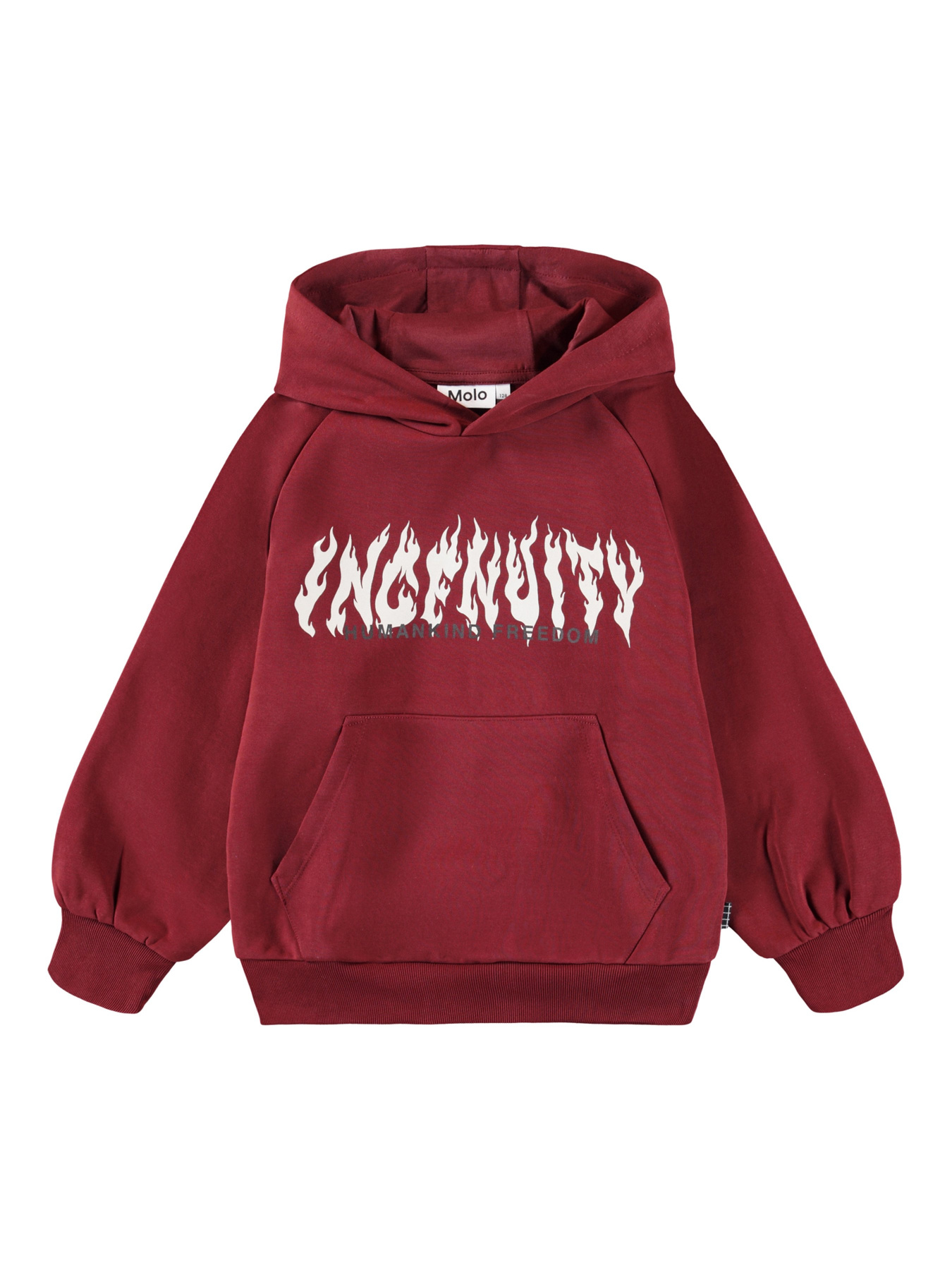 Худи Molo модель 1W25J304.5521 Фото