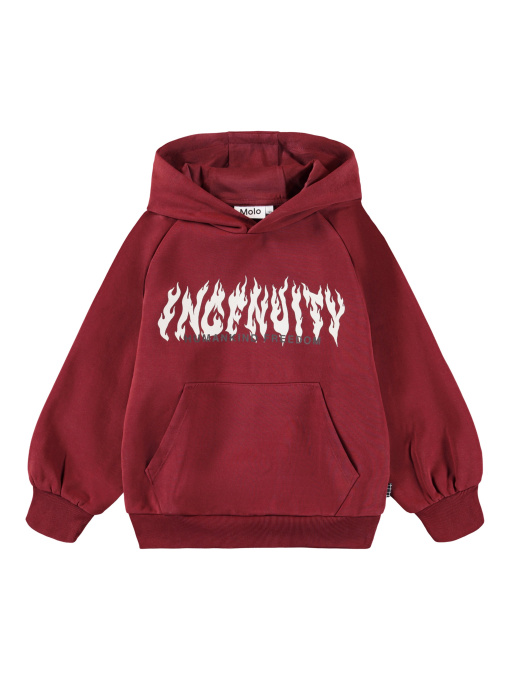 Худи Molo модель 1W25J304.5521 Фото