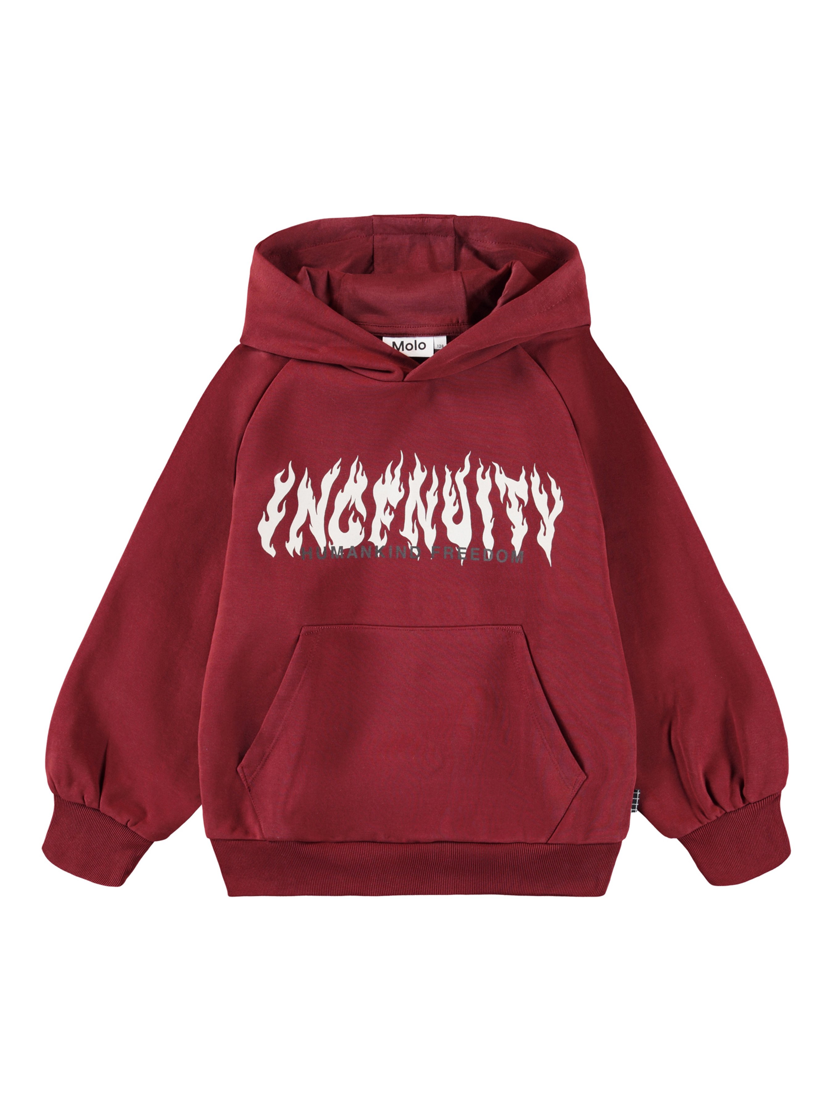 Бавовняне Дитяче Худі Molo  (5715792022622) колір бордовий