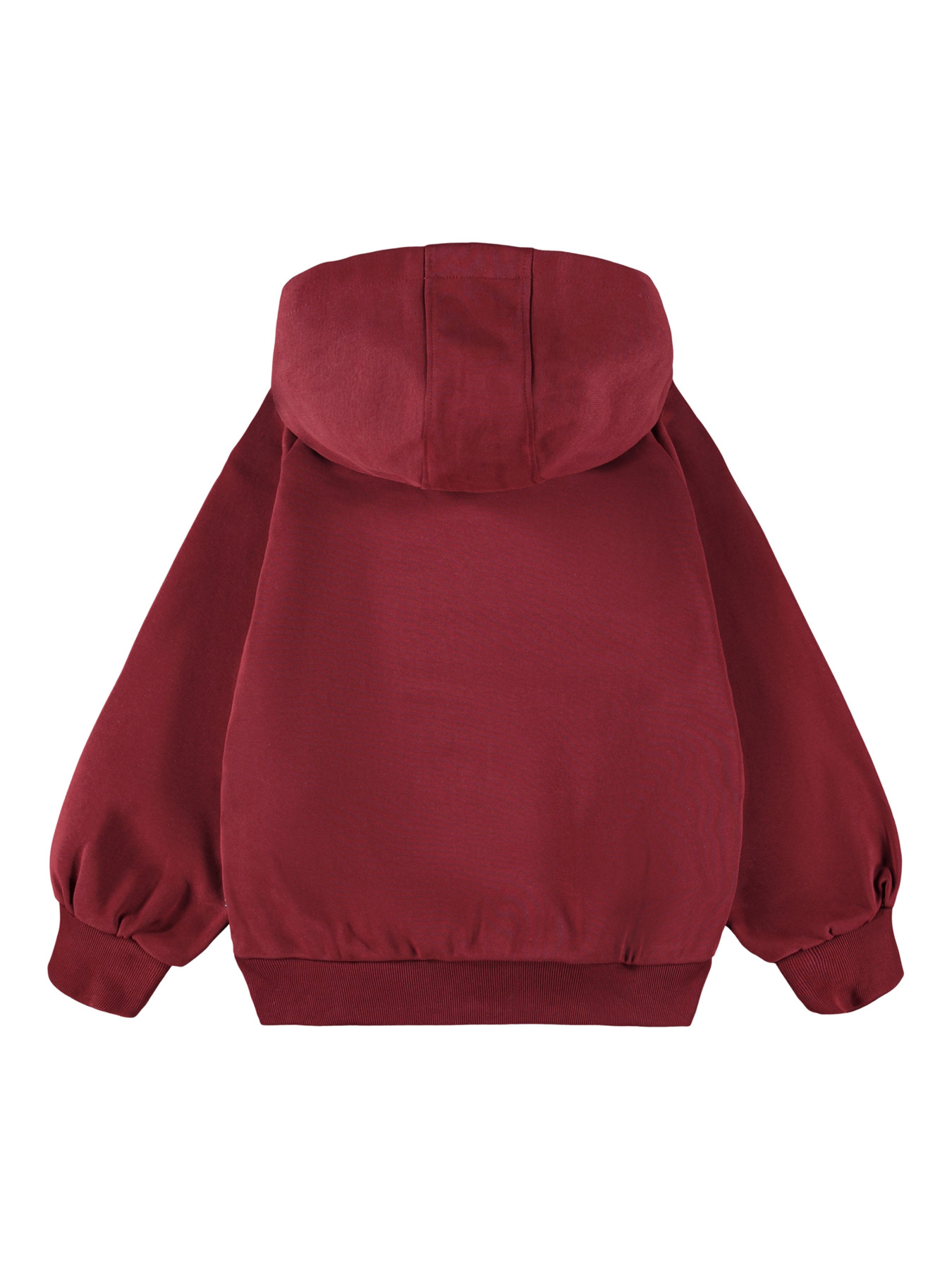 Худі Molo модель 1W25J304.5521 Фото