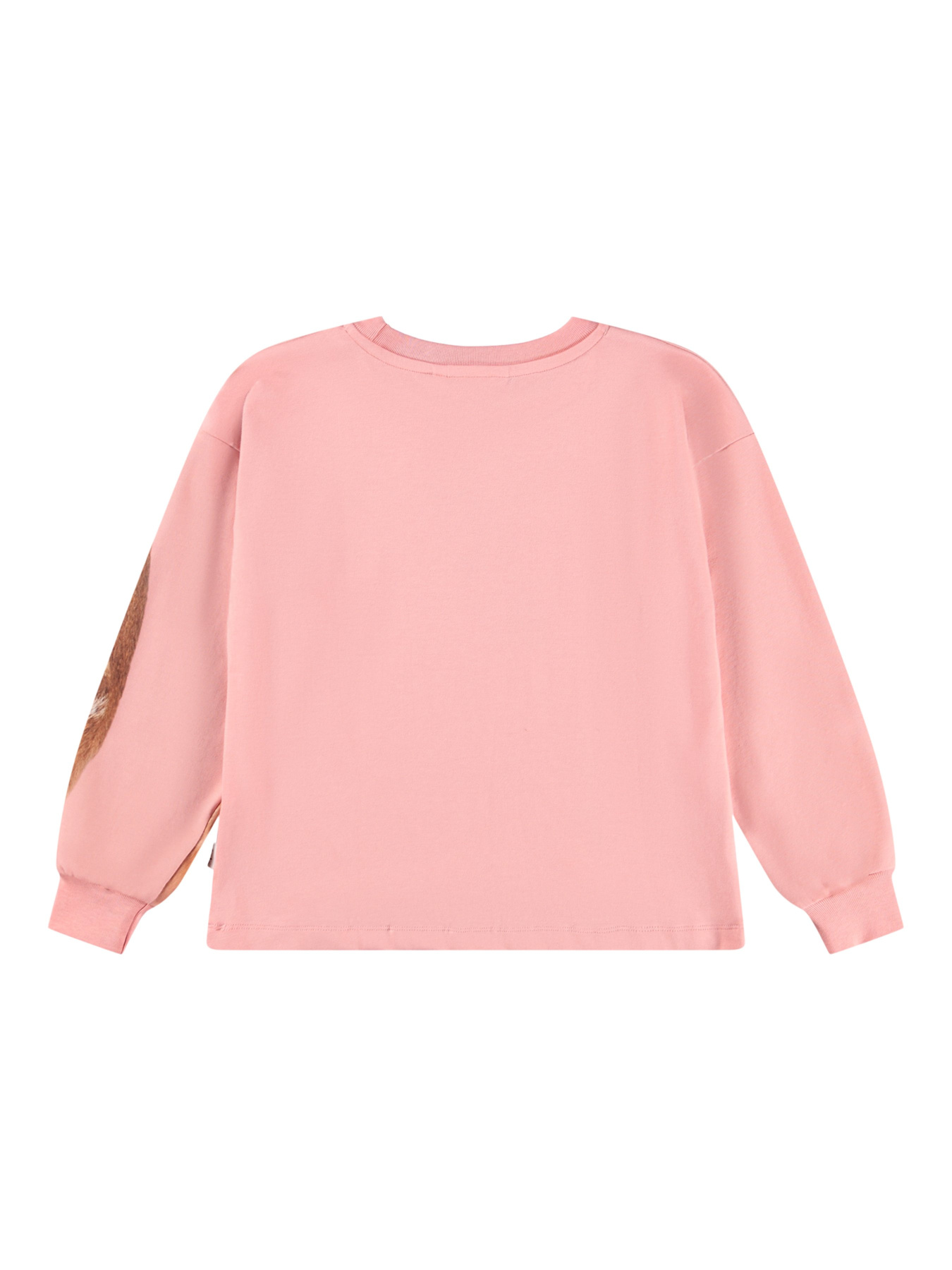 Лонгслив Molo модель 2W25A405.9611 Фото