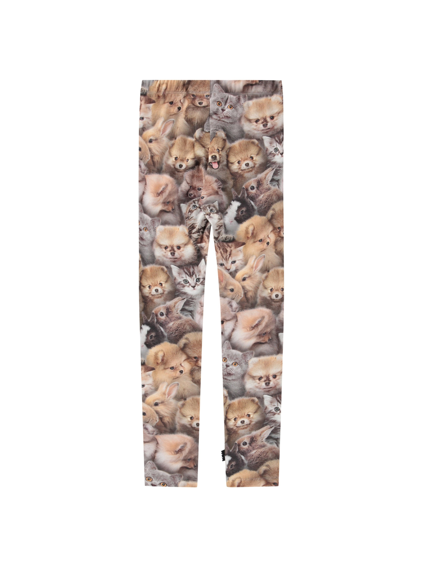 Легінси Molo модель 2W25F204.9377 Фото