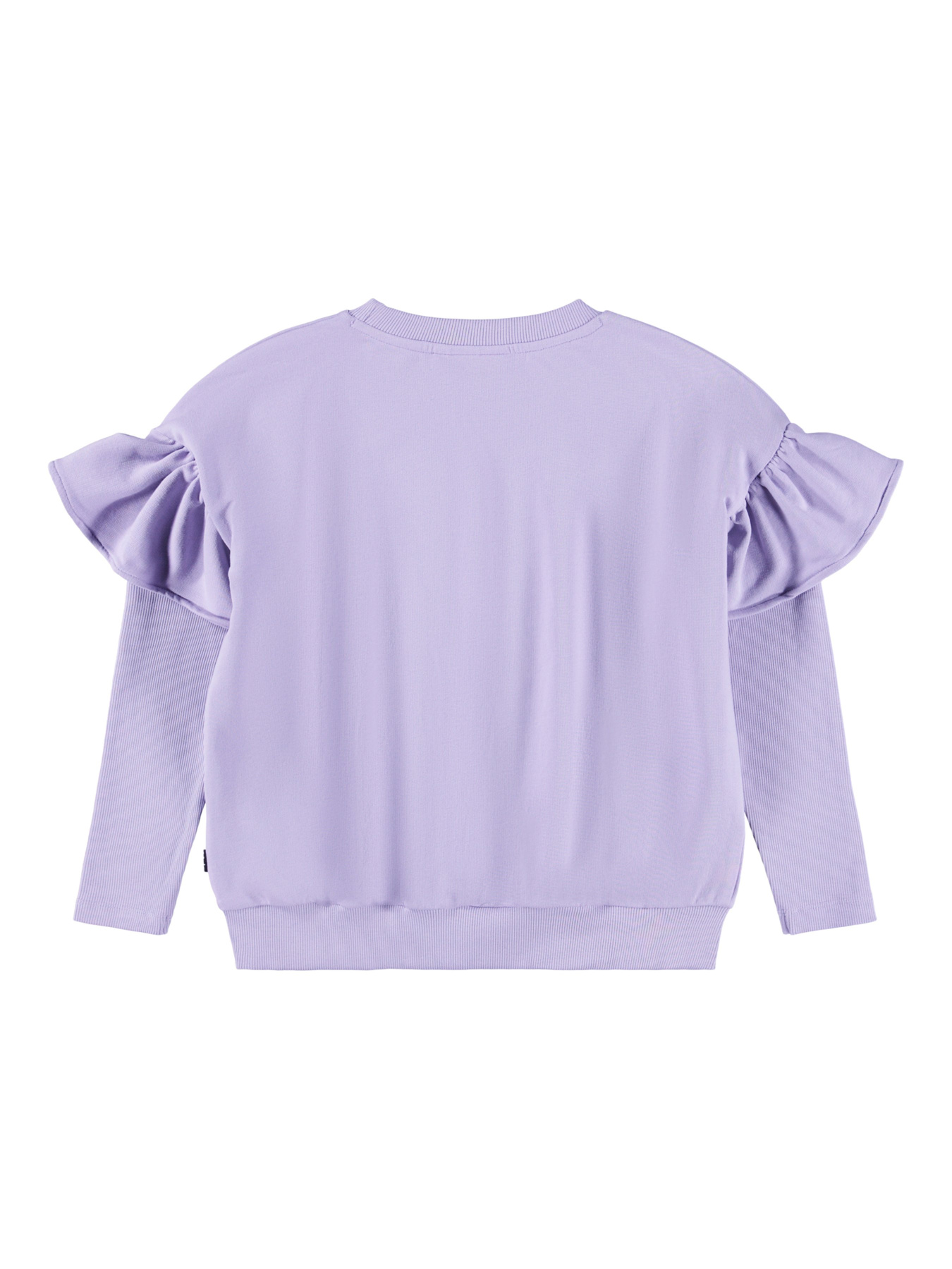 Світшот Molo модель 2W25J201.5496 Фото