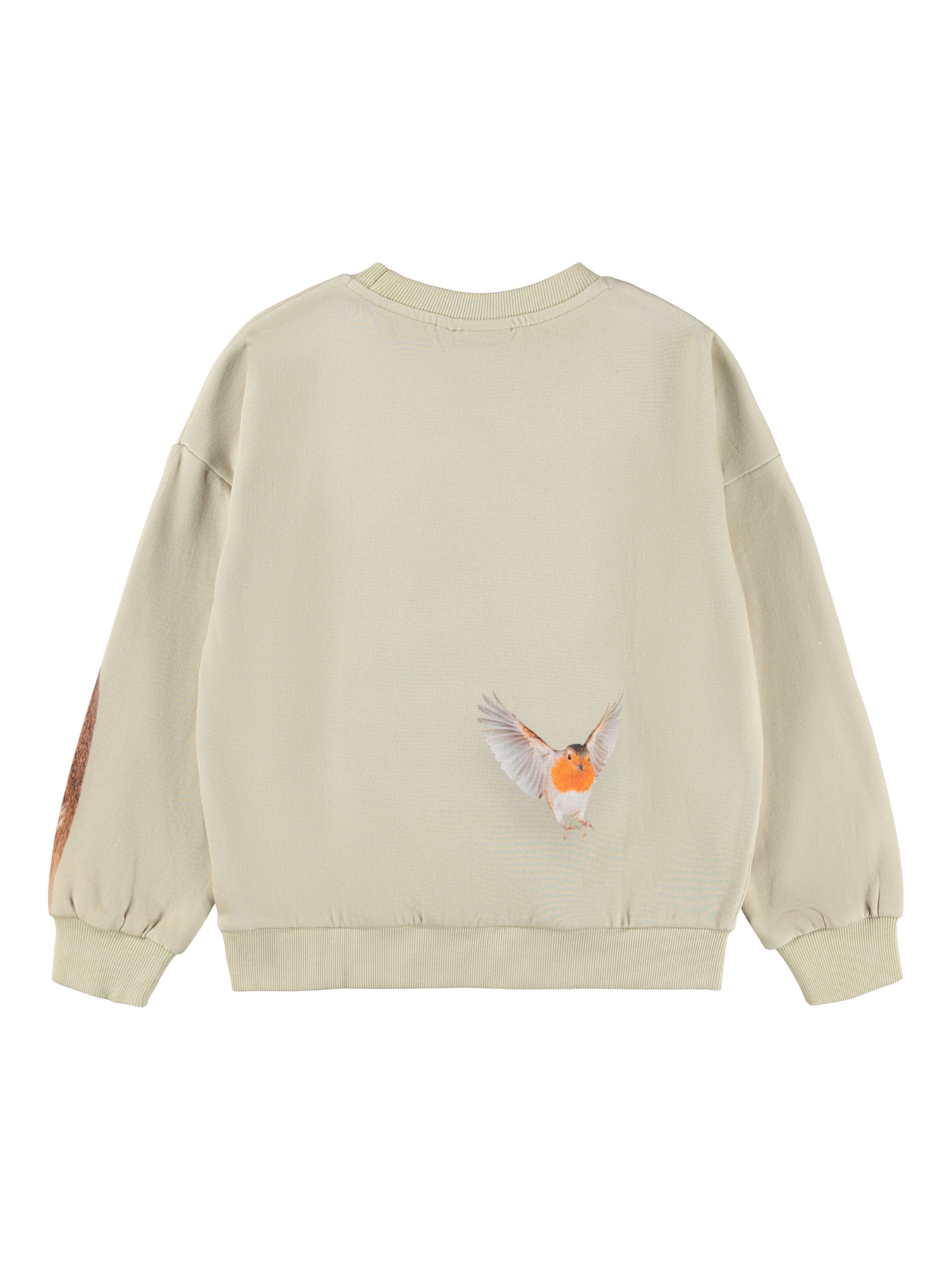 Світшот Molo модель 2W25J210.9626 Світшот Molo модель 2W25J210.9626 Фото