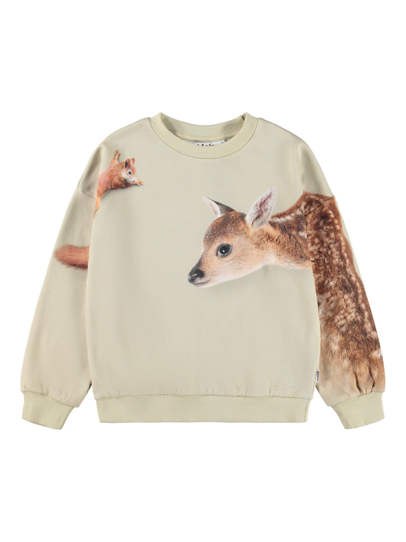 Світшот Molo модель 2W25J210.9626 Світшот Molo модель 2W25J210.9626 Фото