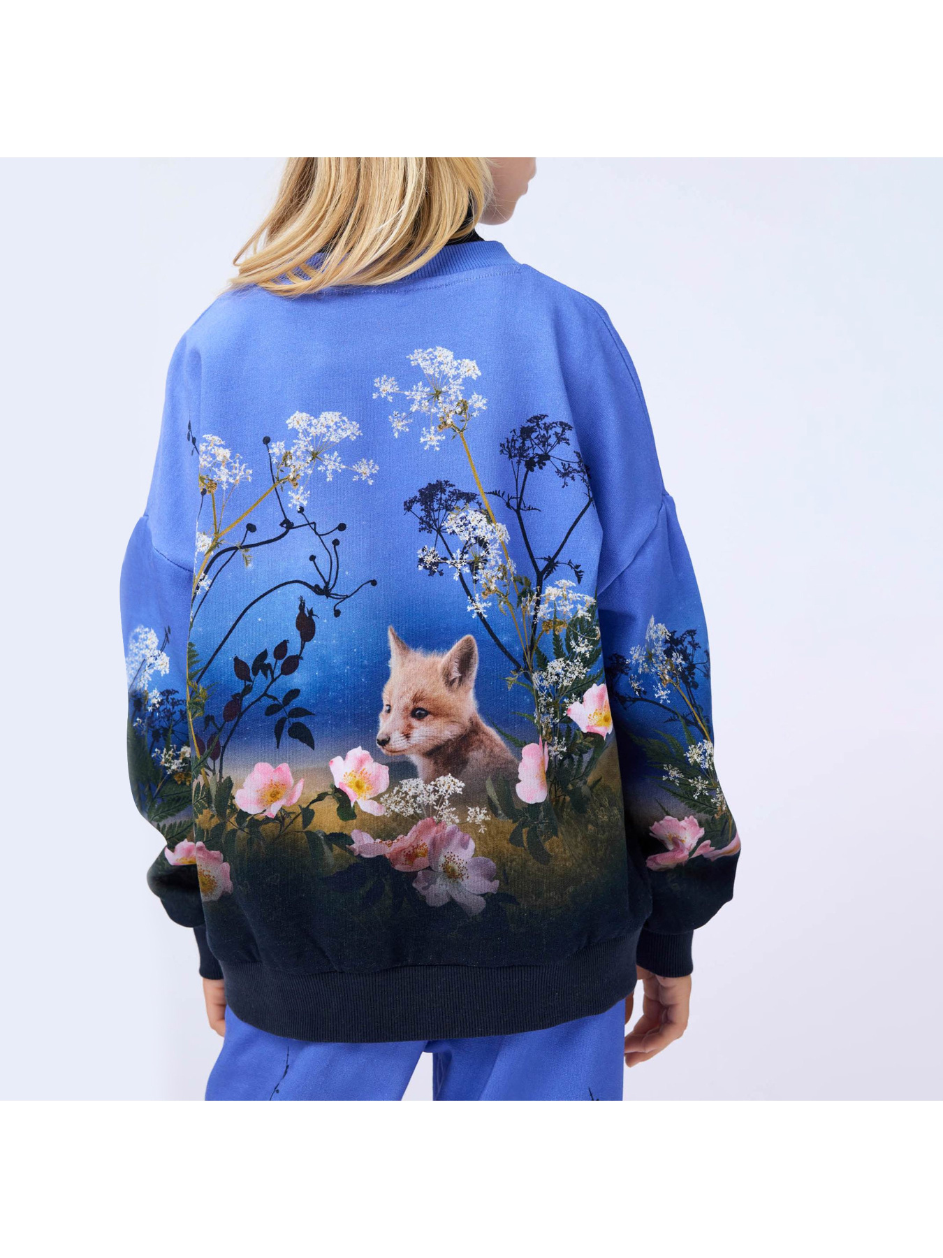 Світшот Molo модель 2W25J211.9625 Світшот Molo модель 2W25J211.9625 Фото