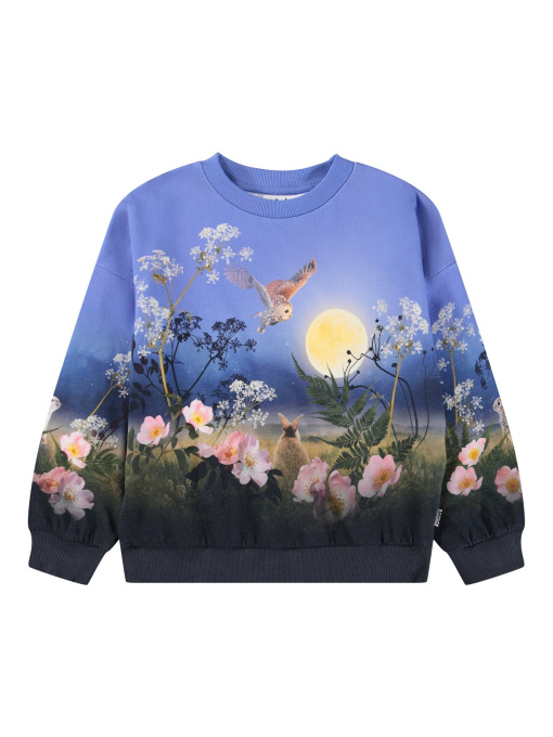 Свитшот Molo модель 2W25J211.9625 Фото