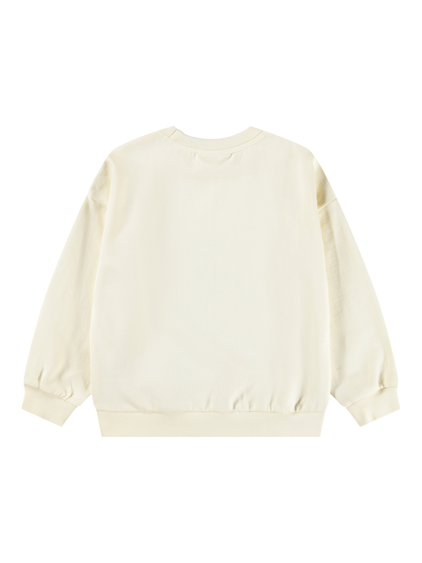 Світшот Molo модель 2W25J211.9730 Фото