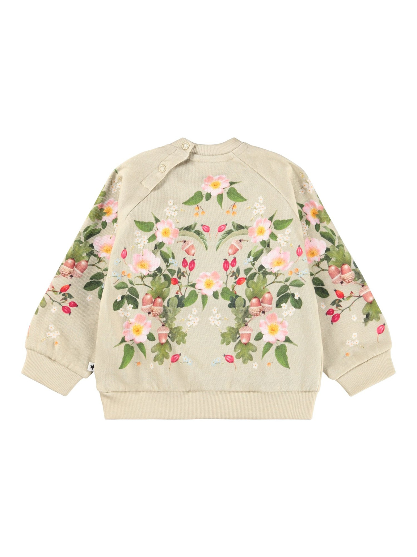 Світшот Molo модель 4W25J202.4972 Фото