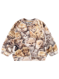 Свитшот Molo модель 4W25J203.9377 Фото