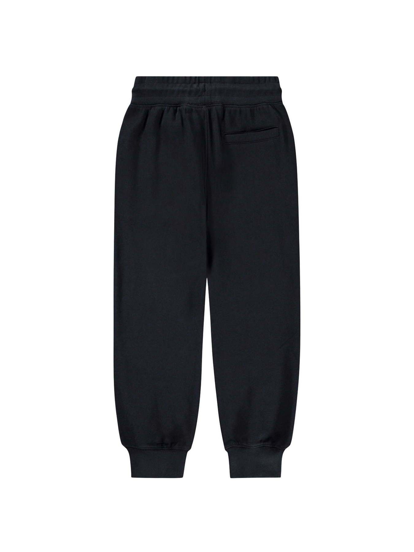 Штани спортивні Molo модель 6W25I202.0099 Фото