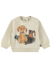 Свитшот Molo модель 6W25J202.9634 Фото