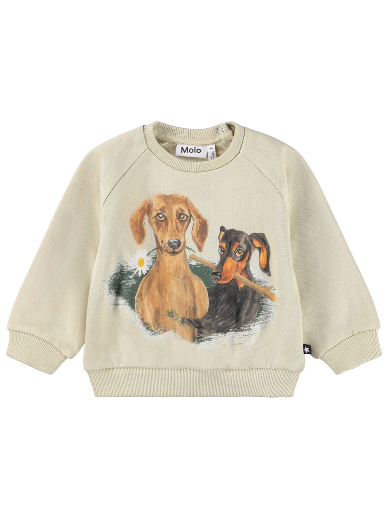 Світшот Molo модель 6W25J202.9634 Фото