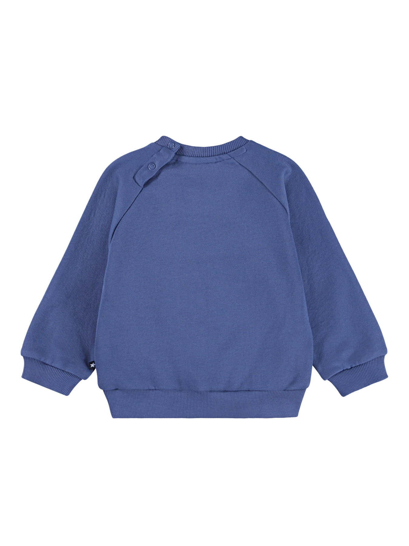 Свитшот Molo модель 6W25J212.9761 Фото