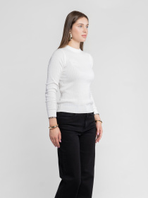 Джемпер Arber модель KW10.06.00.53 Фото