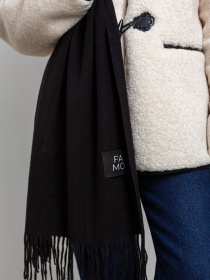 Шарф Famo модель SH-105288_01 Фото