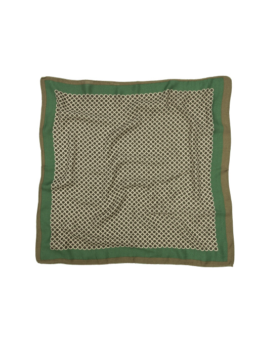 Шарфы и платки Famo модель APL-8254_01 Фото