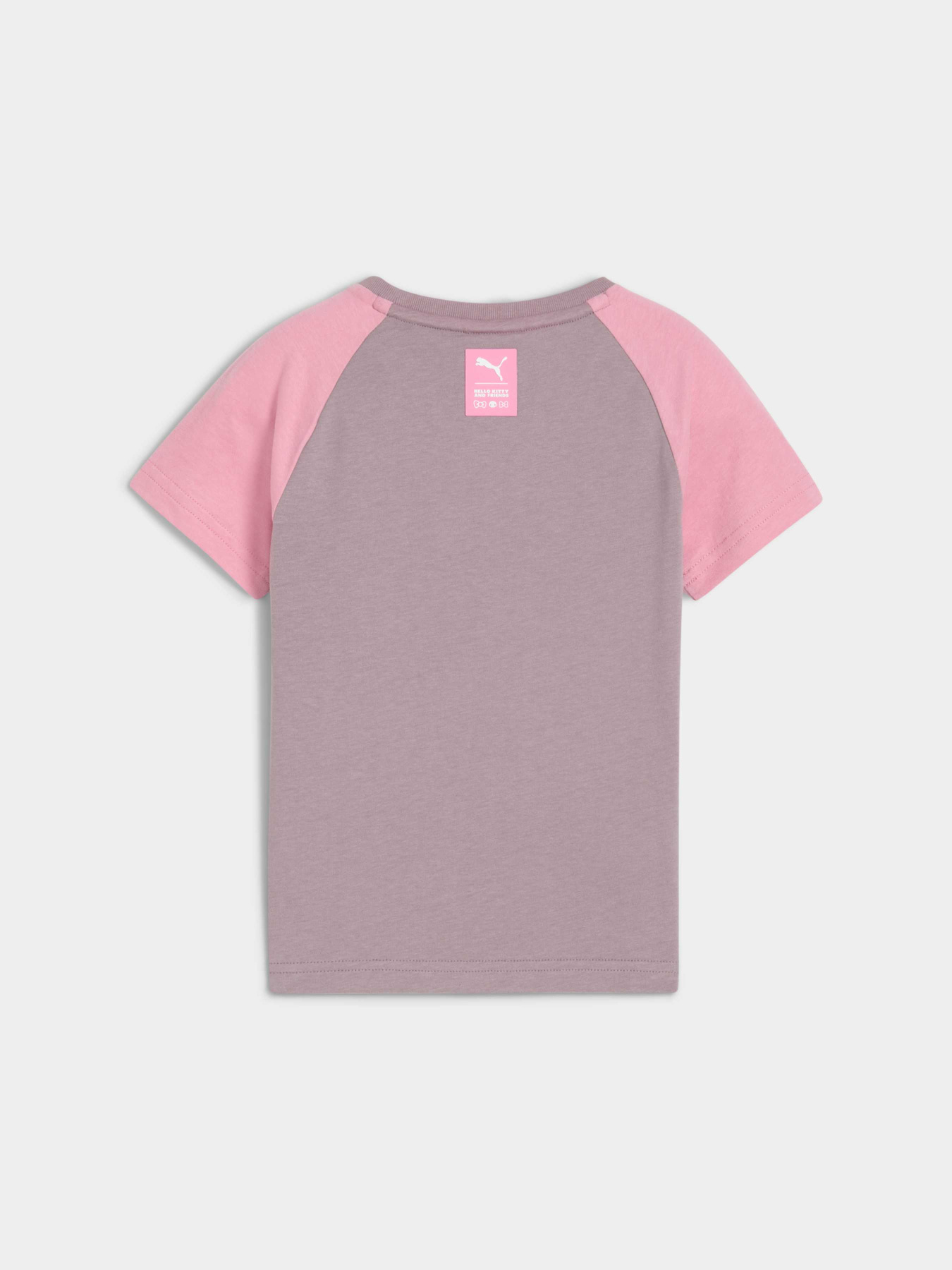 Футболка PUMA x Hk&fr Slim Tee модель 632391 Фото