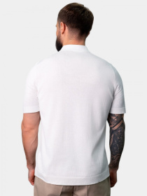 Футболки и поло Gran Sasso модель 8923 Фото