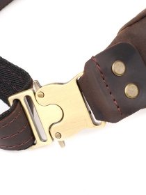 Поясна сумка Shvigel модель bag24_23130 Фото