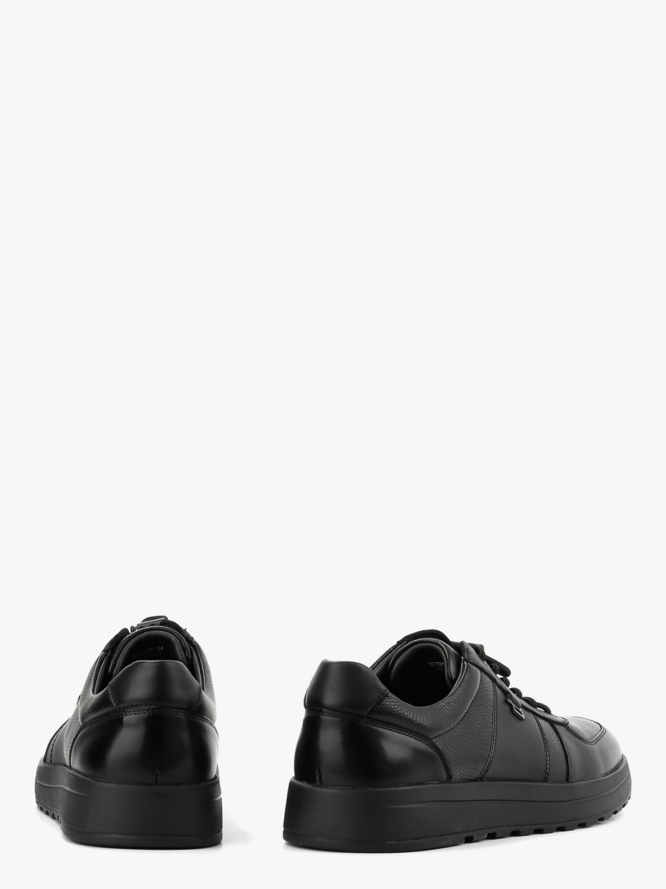 Кеди низькі LeBERDES модель 00000018797 Фото