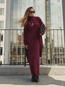 Повседневный костюм Dressa модель 76197 Фото