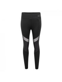 Спортивные леггинсы IQ Ayla модель AYLA WMNS-BLACK Фото