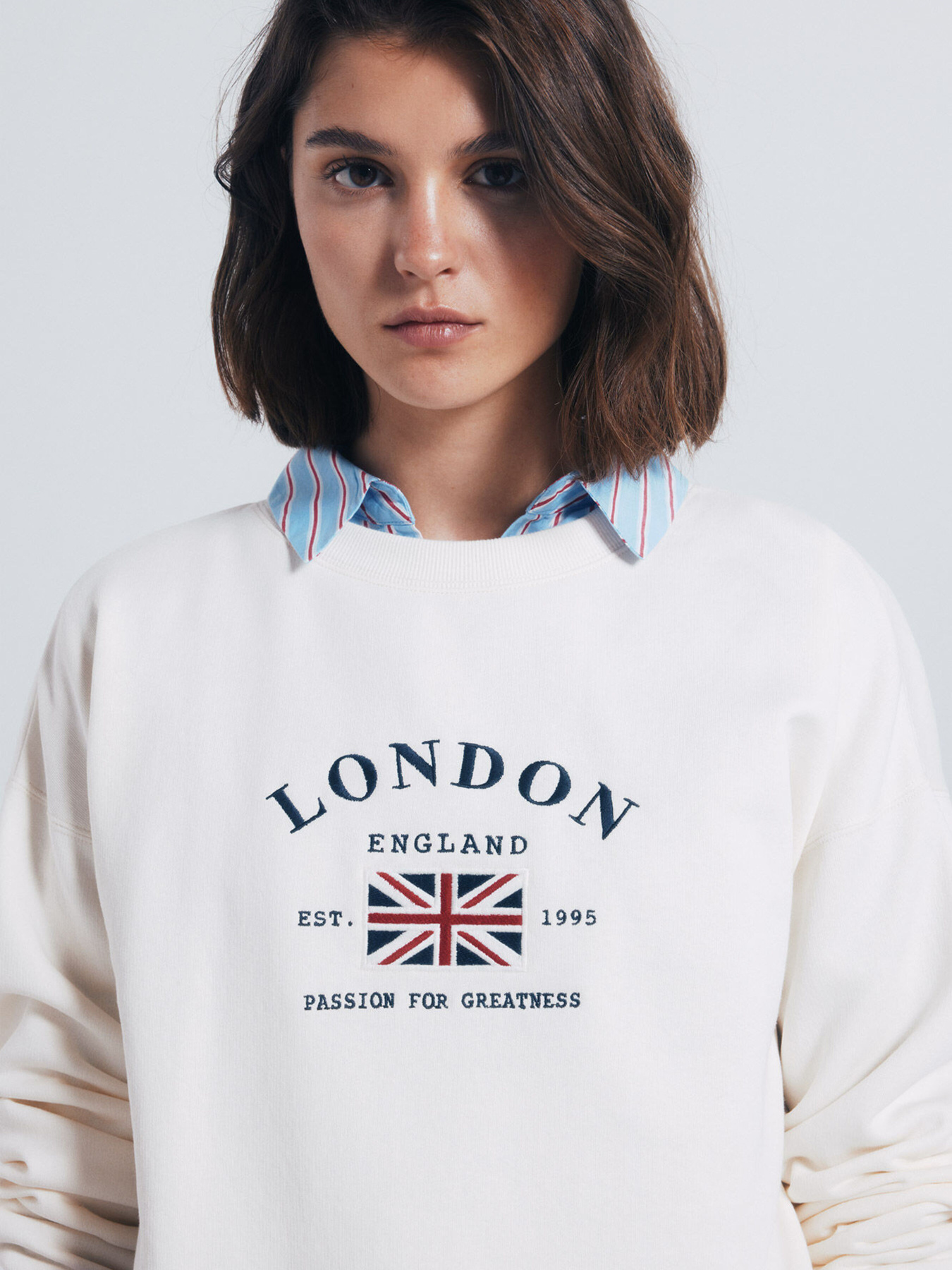 Свитшот SPRINGFIELD модель 1082899-33 Фото