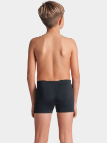 Плавки Arena модель 009008-501 Фото