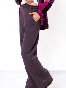 Повседневные штаны Носи своє модель 6437-025-2-nzhir Фото