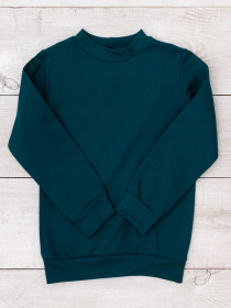 Свитшот Носи своє модель 6069-023-4-temno-smaragdovij Фото