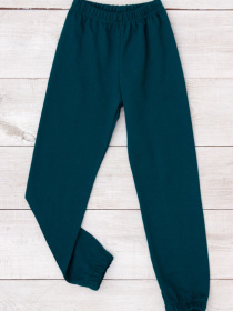 Джоггеры Носи своє модель 6155-023-4-temno-smaragdovij Фото