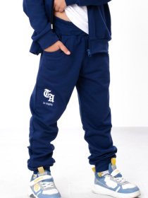 Спортивний костюм Носи своє модель 6018-023-33-1-sapfrovij-ranger Фото