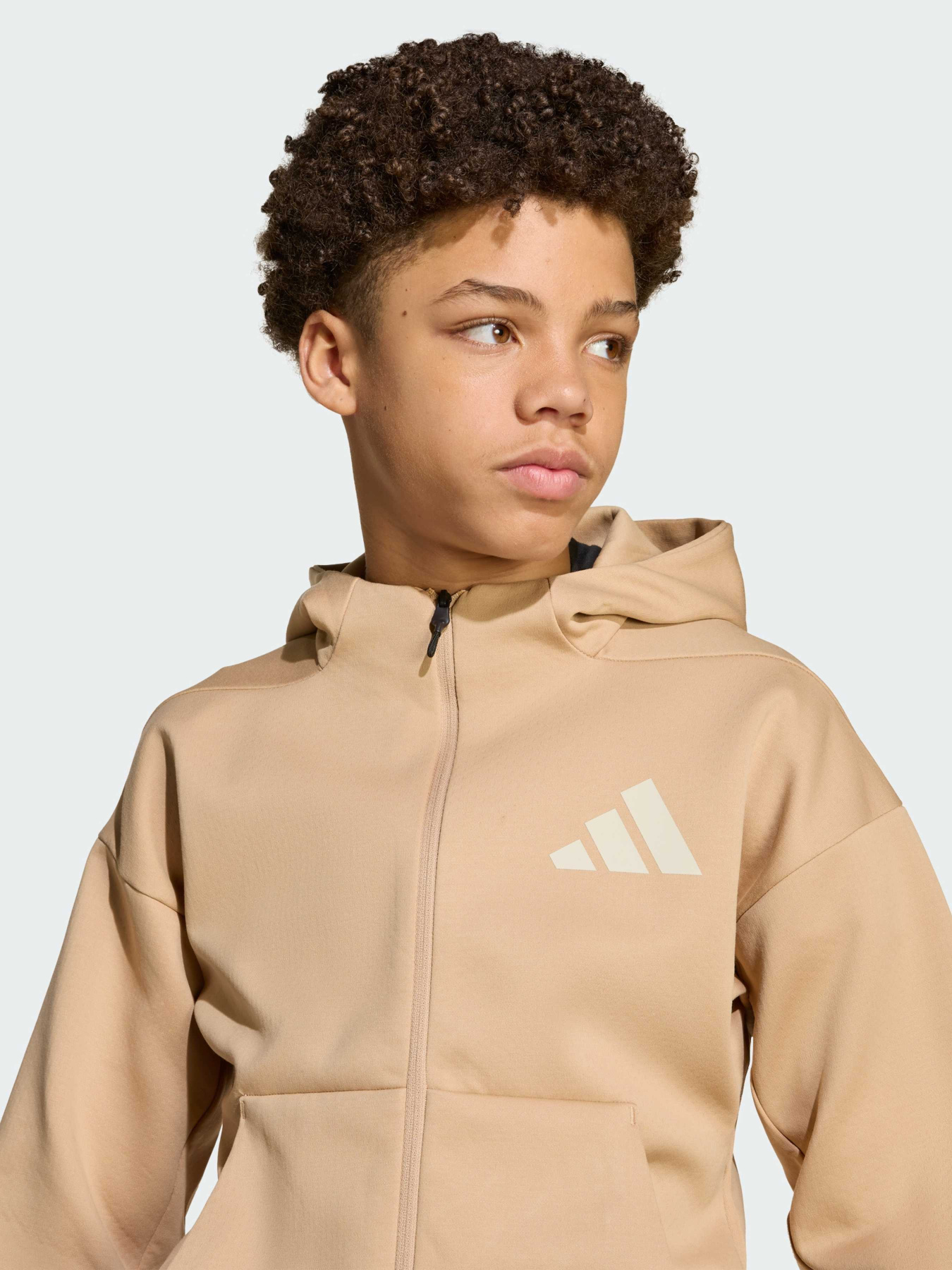 Кофта Adidas ZNE модель JW4004 Фото