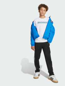 Повсякденні штани Adidas модель JV7677 Повсякденні штани Adidas модель JV7677 Фото